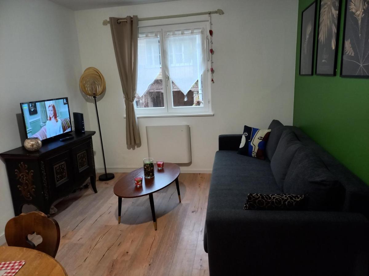 Le Passage Gite Cocooning A Colmar Centre Touristique Екстериор снимка