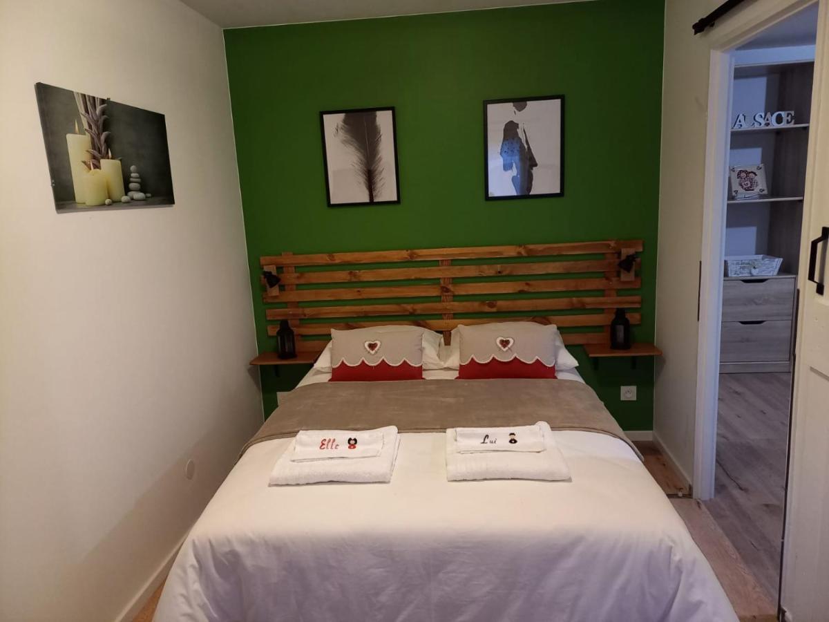 Le Passage Gite Cocooning A Colmar Centre Touristique Екстериор снимка
